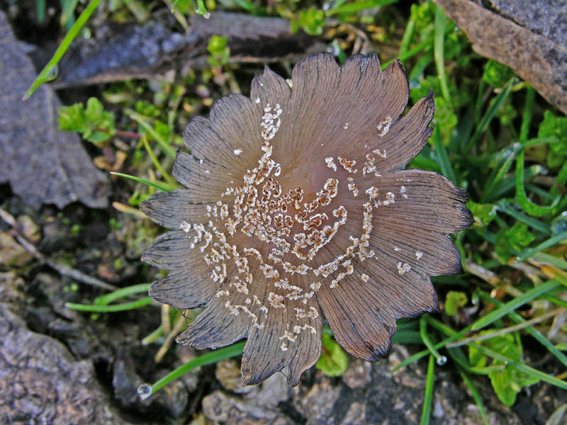 Ritrovamenti marted� 3 aprile.